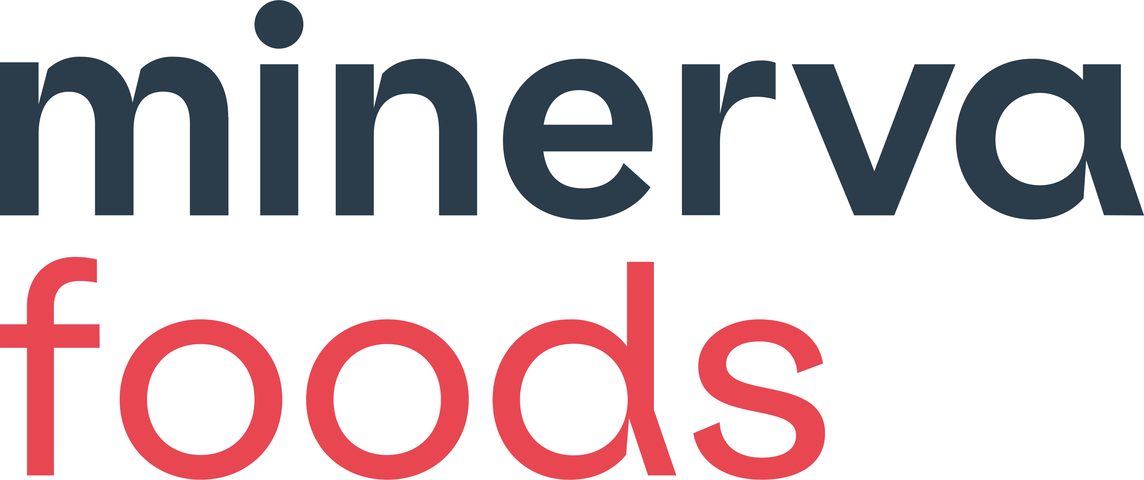 Logo Minerva Foods